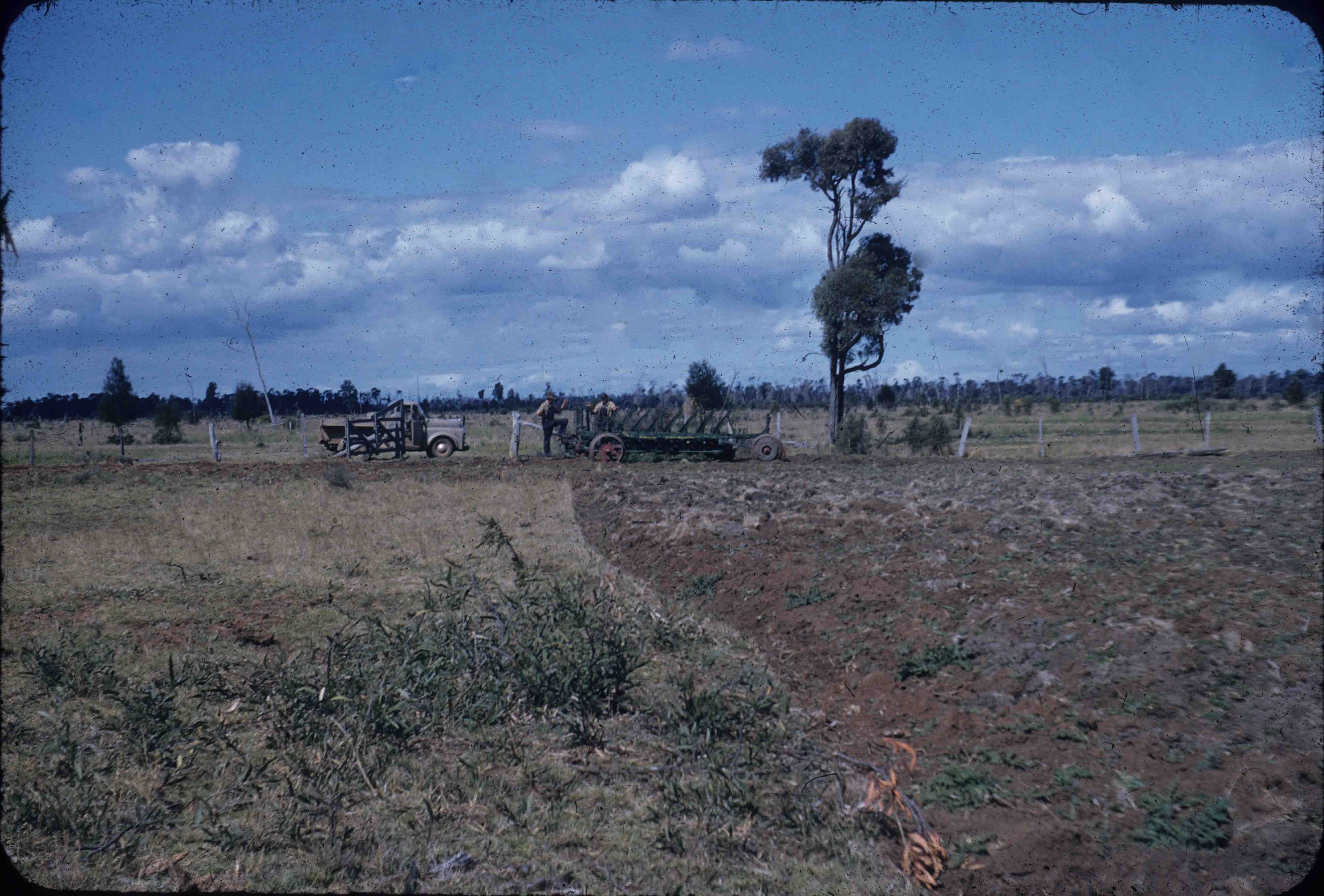 Land clearing, Kingaroy Shire, 1955 | Queensland Historical Atlas