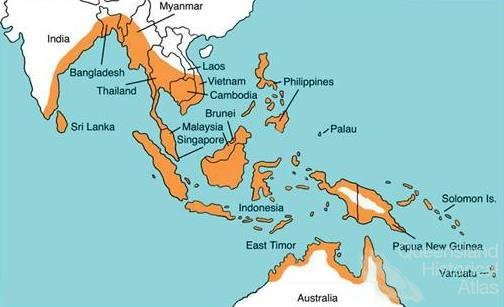 Distribution of saltwater crocodiles, 2010 | Queensland Historical Atlas