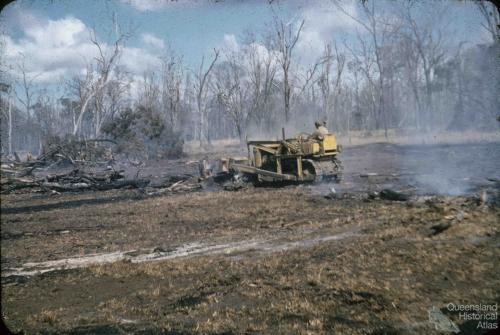 Land clearing, Kingaroy Shire, 1955. Copyright © John Thun and Collection of the Centre for the Government of Queensland, 2010