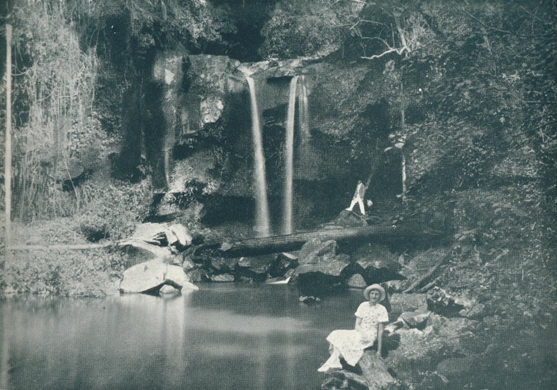 Curtis Falls, Mount Tamborine, c1933 Queensland Historical Atlas
