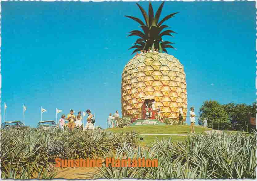 The Big Pineapple, Woombye Queensland Historical Atlas