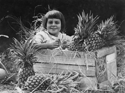 Girl sitting in a crate of Queensland pineapples, 1924