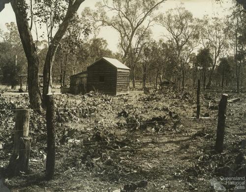 Prickly pear treatment, Chinchilla, 1928-29