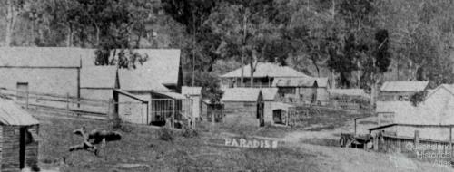 Allen Street, Paradise, 1891