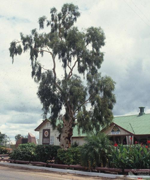 Tree of Knowledge, Barcaldine, 1991