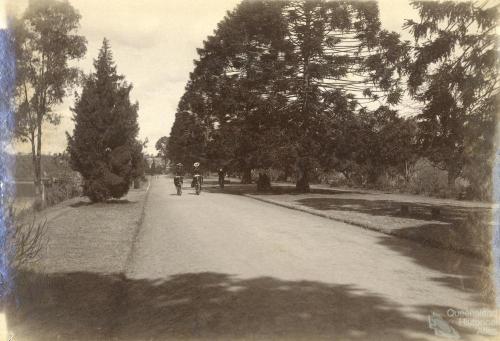 Women cycling through the Botanic Gardens, Brisbane, 1896