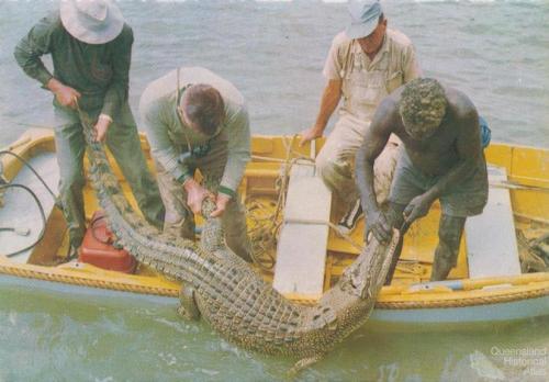 Crocodile hunting, North Queensland