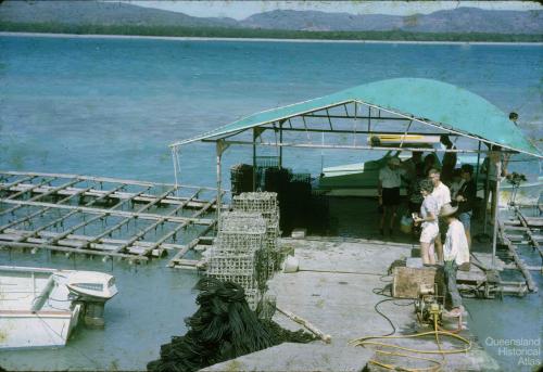 Pearling industry Torres Strait, 1965-66