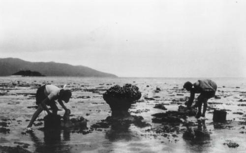 Fossicking at low tide was one of the main activities for early holiday makers, c1932