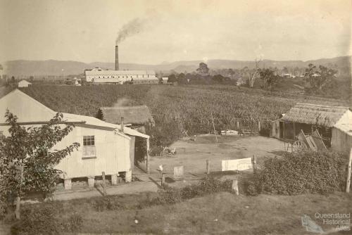 Marian Sugar Mill, Mackay District, c1910