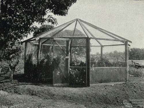 The Gordonvale garden gazebo, 1935