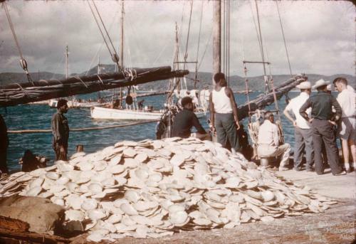 Pearl shell on the wharf, Thursday Island, 1958