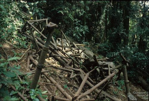 Remains of the 1937 Stinson airplane crash, Lamington National Park, 1978