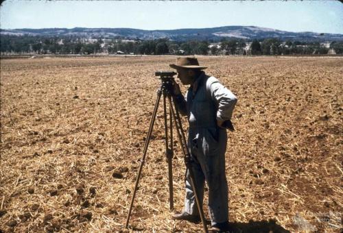 Surveying contour bank, Murgon, 1958