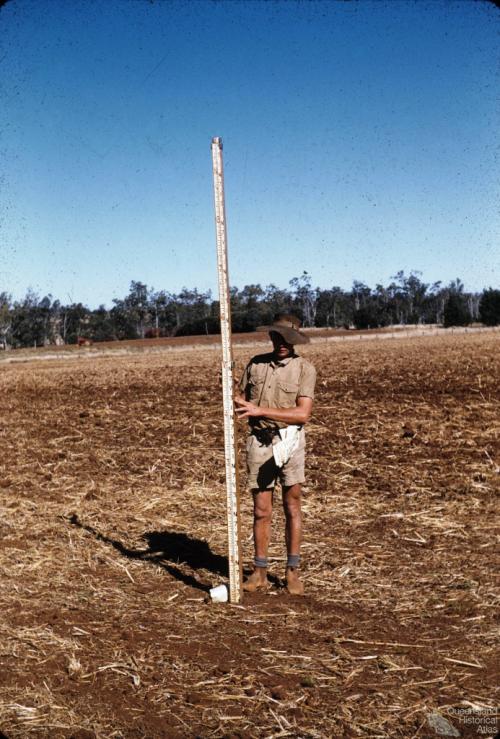 Surveying contour bank, Murgon, 1958