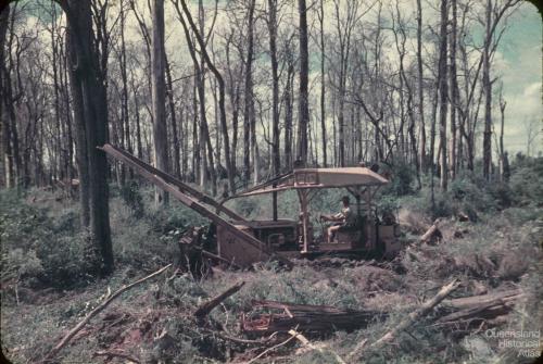 Land clearing, Kingaroy Shire, 1955