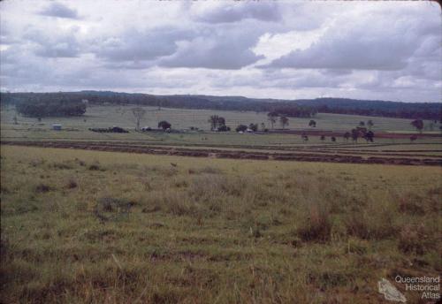 Contour farming, Durong, 1958