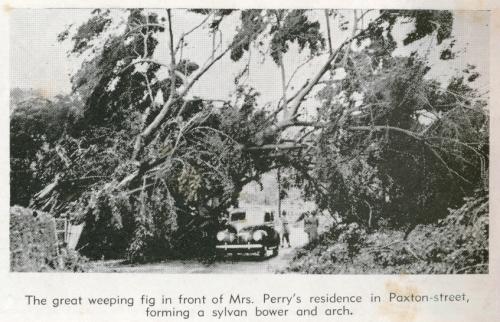 Scenes after the Townsville cyclone, 1940