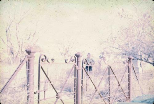 Cemetery Ravenswood, 1968