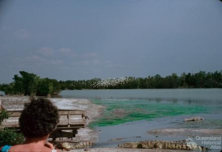 Edward River Mission (now Pormpuraaw) crocodile farm, 1990