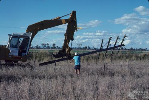 Redundant telephone pole, Chinchilla Shire, 1979