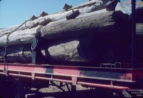 Dismantled telephone poles to be burnt, 1979