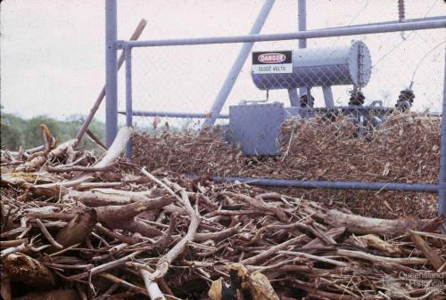 Damage caused by Cyclone Ada, Collinsville, 1970