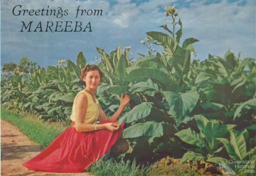 Mareeba, the tobacco capital of Australia, c1961