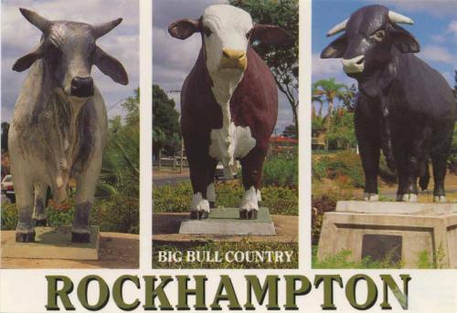 Big bull country, Rockhampton, c1988