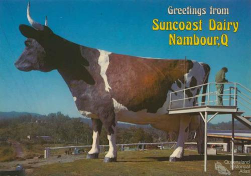 The Big Ayrshire Cow, Nambour