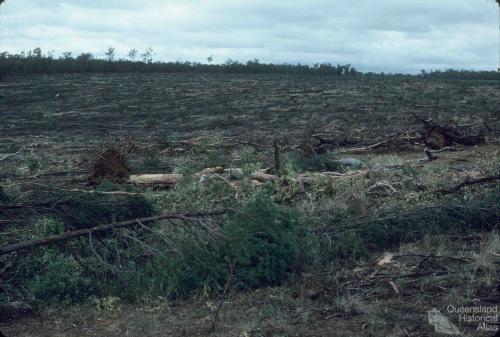 Clear-felled woodland, Injune district, 1986