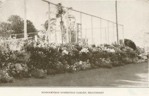 Nindooinbah Homestead garden, Beaudesert, 1935