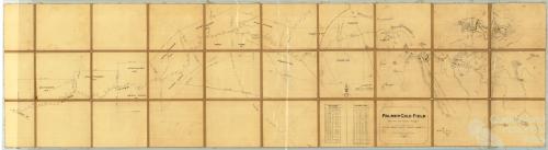 Palmer gold field, base line and primary triangles, 1885