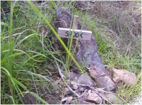 Memorial, Tamborine Mountain Road, 2009