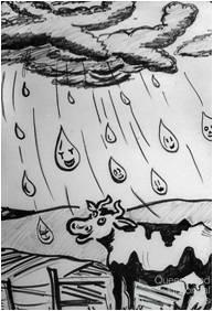 Raindrops and soil erosion, 1950