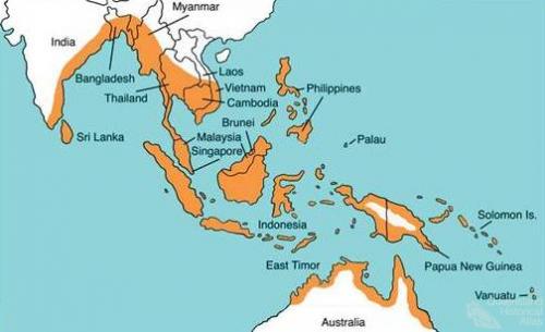 Distribution of saltwater crocodiles, 2010