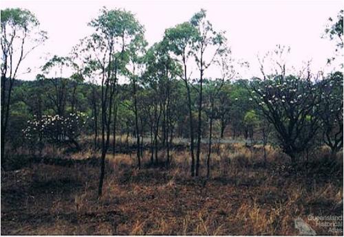 Mining town of Koorboora