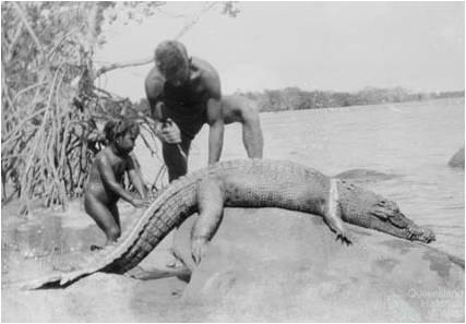 Crocodile skinning, North Queensland, 1946