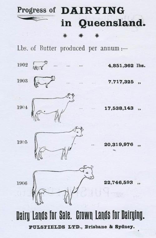 Progress of dairying, 1908