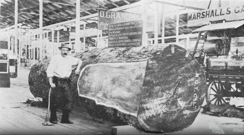 Cedar log at the 1897 exhibition, Bowen Park