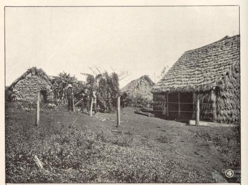 South Sea Islander huts, Childers, 1904