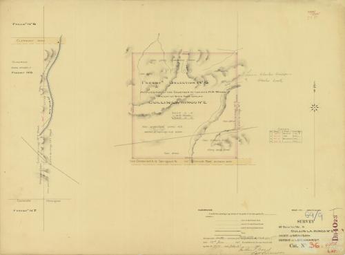 Cullin-la-ringo run, selection 66, 1877