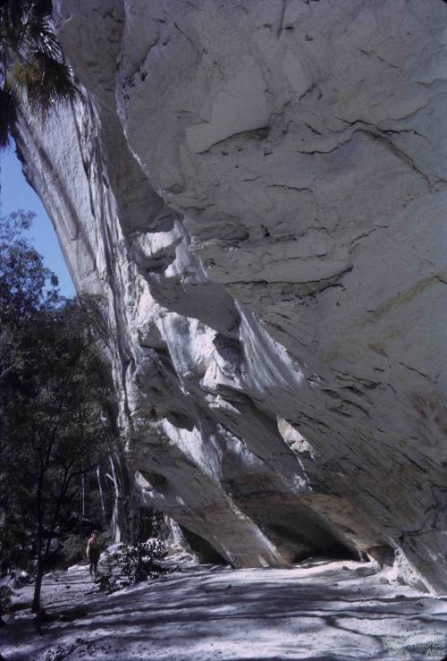 Aboriginal paintings, Carnarvon National Park, 1965