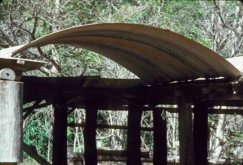 Laura Homestead, Cook Shire, 1982