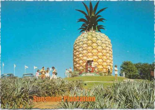 The Big Pineapple, Woombye