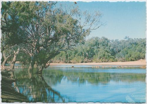 Channel Country billabong, 1980