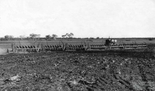 Ploughing phase on Peak Downs, 1948