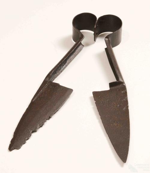 Nineteenth century shears