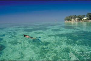 A snorkeller views the shallow corals at Heron Island, 1997 