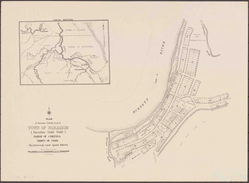 Town of Paradise, 1891